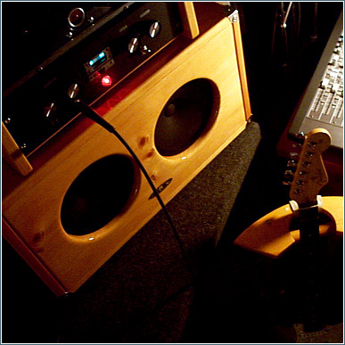 2x8 Guitar Amp Speaker Cabinet